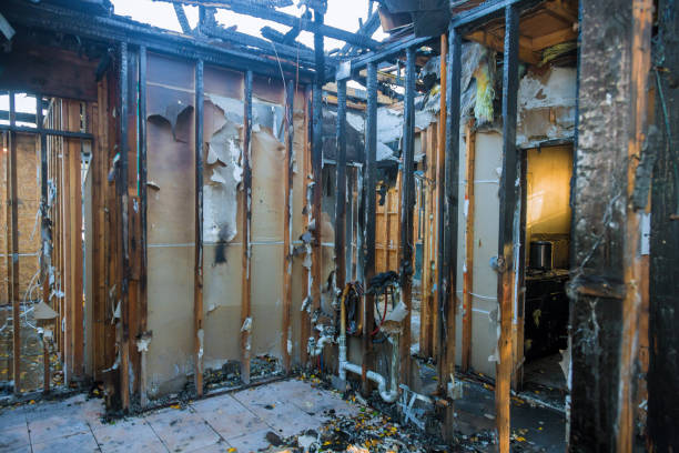 Professional Smoke Damage Removal technician working in Broomall, PA